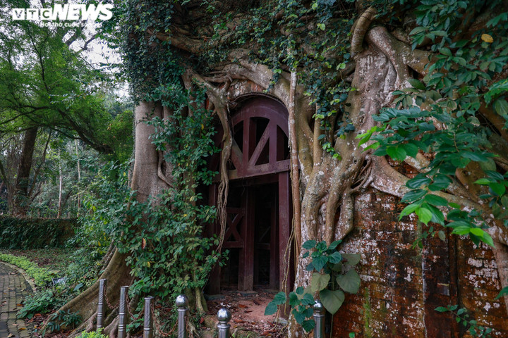 Ngắm tuyến phố đi bộ thứ 4 ở Hà Nội quanh Thành cổ Sơn Tây - 11