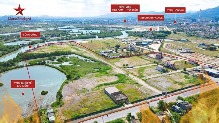 3 lý do giúp Mario Starlight 'hút' khách đầu tư - 1