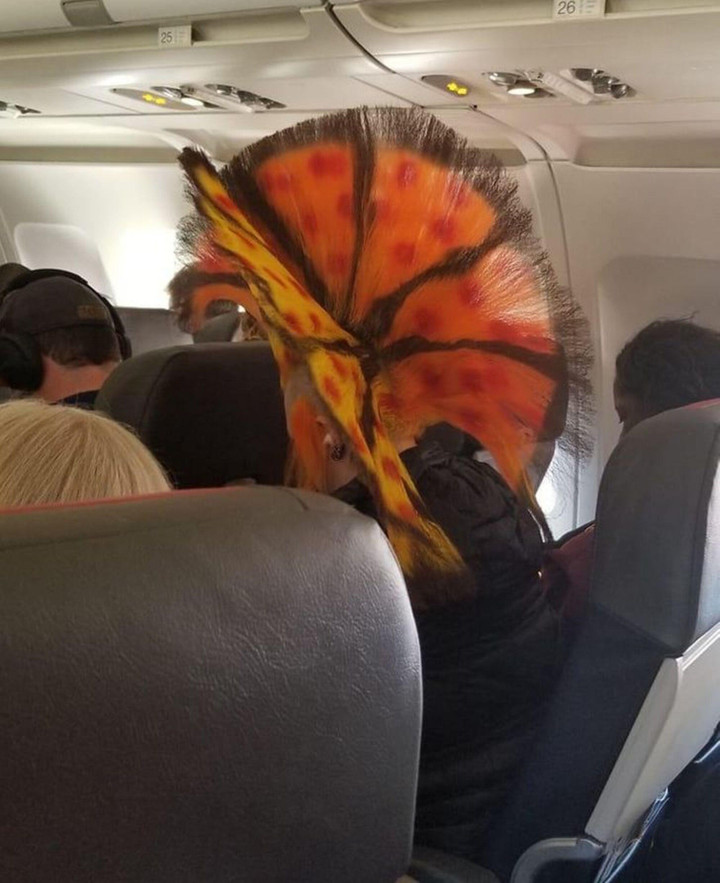 Loạt ảnh để lại muôn vàn câu hỏi 'vì sao' khiến người xem lắc đầu 'bó tay' - 3