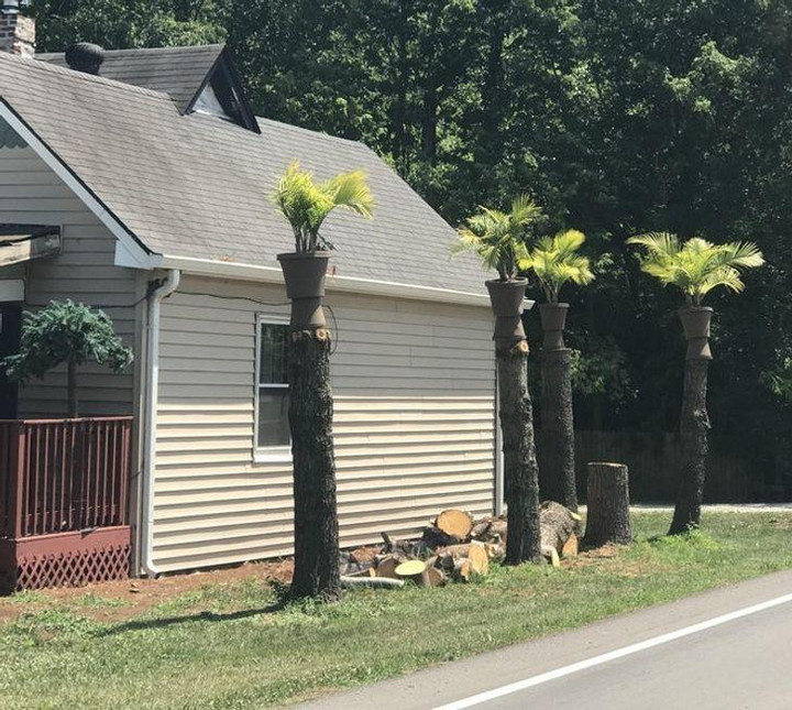 Loạt ảnh để lại muôn vàn câu hỏi 'vì sao' khiến người xem lắc đầu 'bó tay' - 9