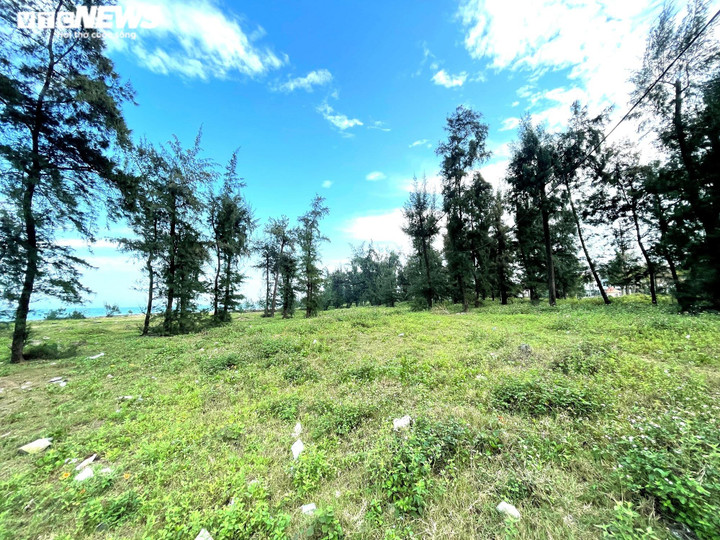 Ảnh: Cận cảnh dự án ven biển chậm tiến độ ở Nghệ An - 3