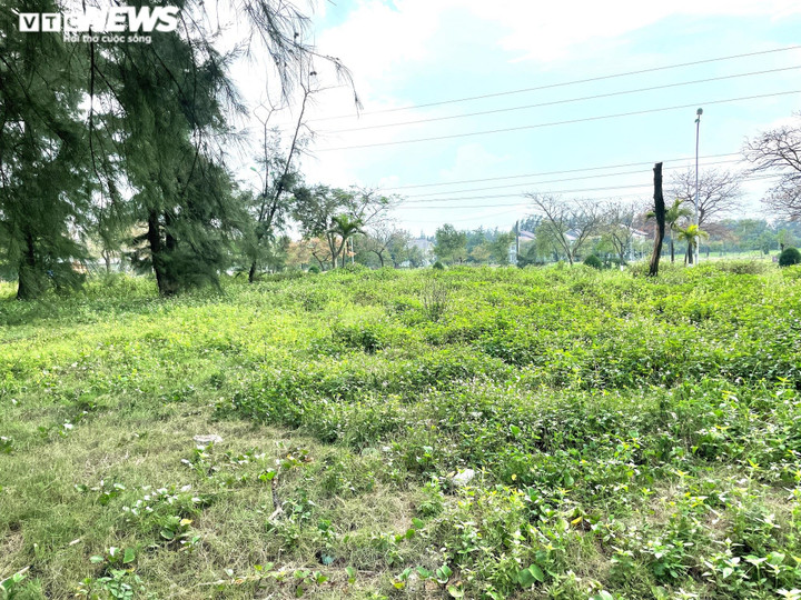 Ảnh: Cận cảnh dự án ven biển chậm tiến độ ở Nghệ An - 7