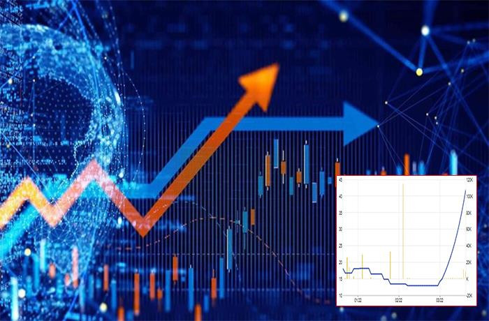 Cổ phiếu ‘lạ’: Tăng trần 11 phiên nhưng giao dịch trồi sụt - 1