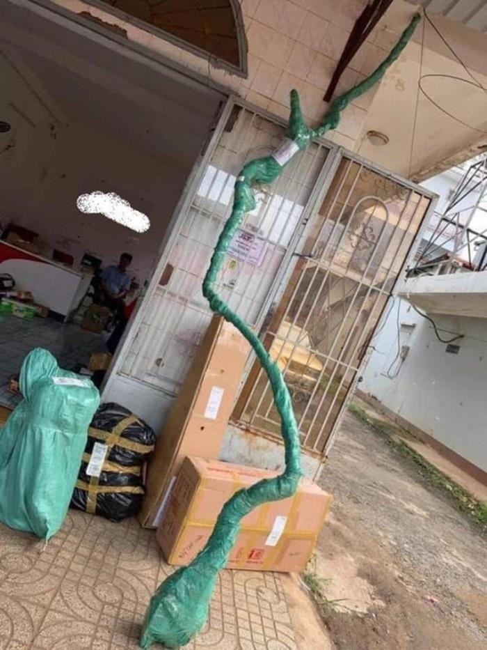 Nhìn các pha gói hàng 'đi vào lòng đất' như này bảo sao khách chỉ muốn than trời - 7