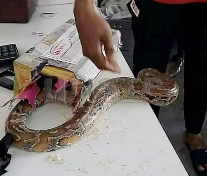 Nhìn các pha gói hàng 'đi vào lòng đất' như này bảo sao khách chỉ muốn than trời - 6