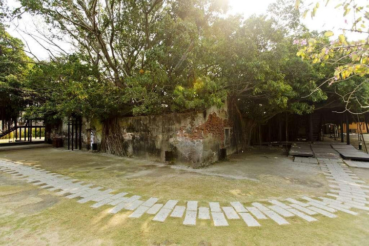 Ngôi nhà cây 200 tuổi - ‘công trình’ ma mị của thiên nhiên thu hút du khách - 13