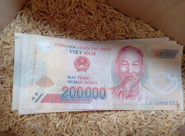 Nhận được hộp trứng gà có giấu 1 vật bên dưới, cô gái khiến dân mạng cay mắt - 2