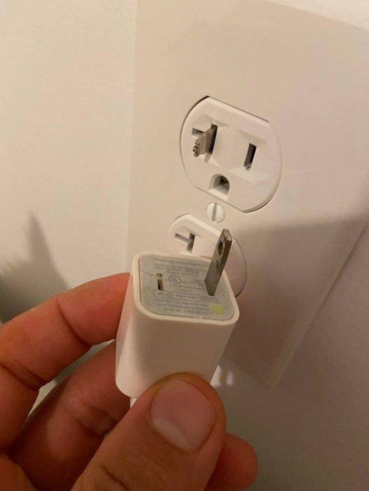 Loạt ảnh phát ra tín hiệu 'ét ô ét', chưa kịp 'giải cứu' đã ngã ngửa vì cười - 5