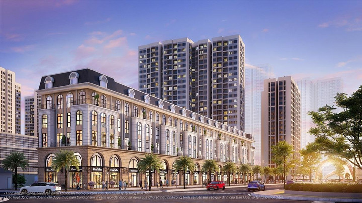 Chạy đua đầu tư mặt bằng kinh doanh tại các đại đô thị - 2