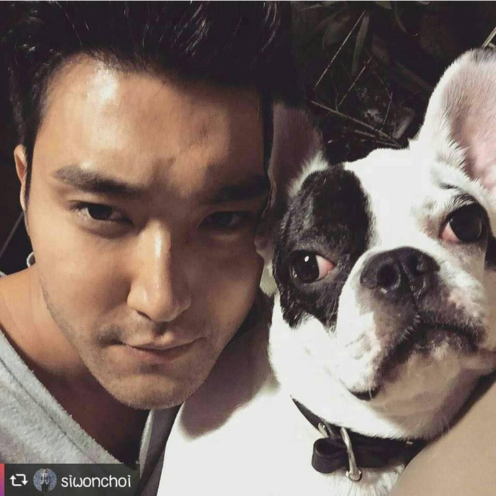 Sao Hàn gây phẫn nộ vì để chó cắn người: Người bị tù treo, kẻ nộp phạt 1 triệu - 3