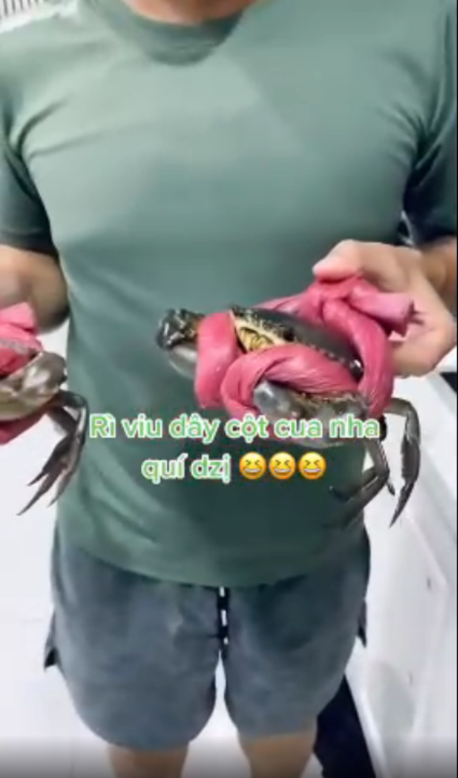 Khách mua cua về phát hiện được tặng kèm ‘quà’, dân mạng rôm rả ‘lời quá rồi’ - 1