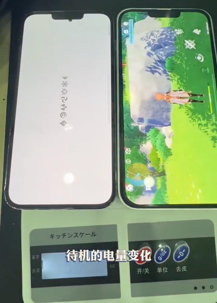 Bản 'độ' của iPhone 13 Pro Max có 2 viên pin - 8