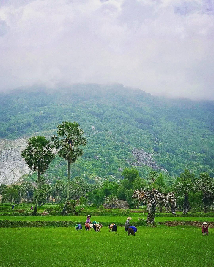 Ngọn núi đẹp bậc nhất vùng đất Thất Sơn - nơi ngắm toàn cảnh mây trời cực chill - 10