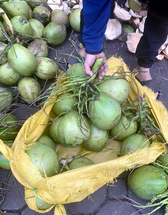 Đổ xô mua bù nước điện giải, giá dừa xiêm tăng gấp đôi - 3