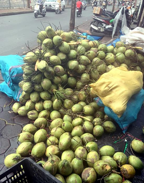 Đổ xô mua bù nước điện giải, giá dừa xiêm tăng gấp đôi - 2