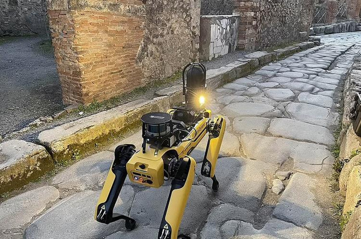 Thành phố cổ Italy sử dụng robot tuần tra để chống kẻ săn trộm - 1