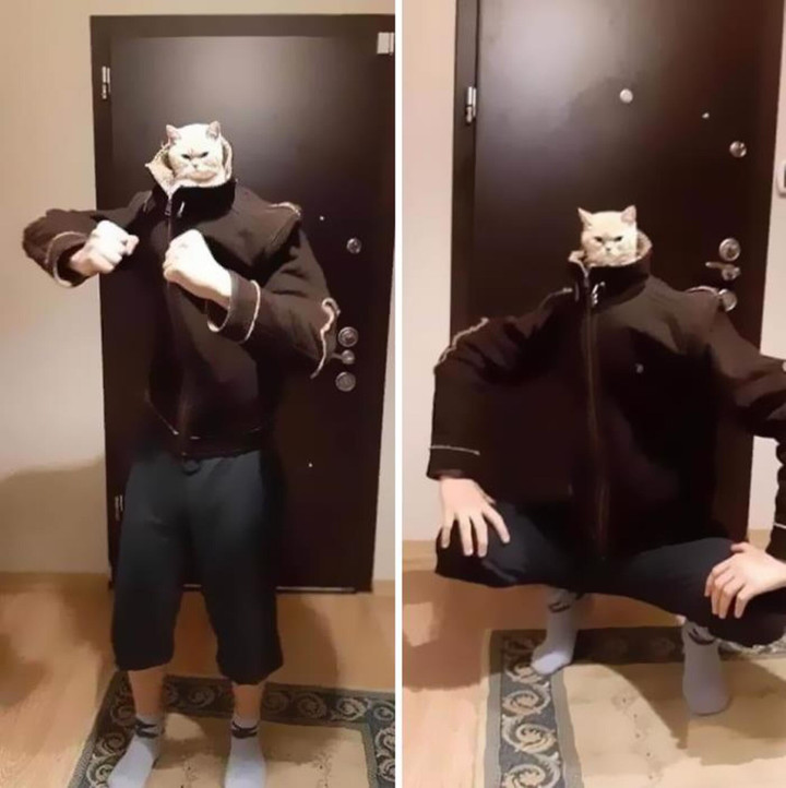 Khoảnh khắc đáng yêu vô đối của hội nhà mèo khiến dân tình muốn ẵm ngay về nuôi - 8