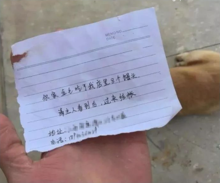 Chó cưng bị lạc mất, vài giờ sau lại quay về với mảnh giấy nhắn đầy bất ngờ - 3