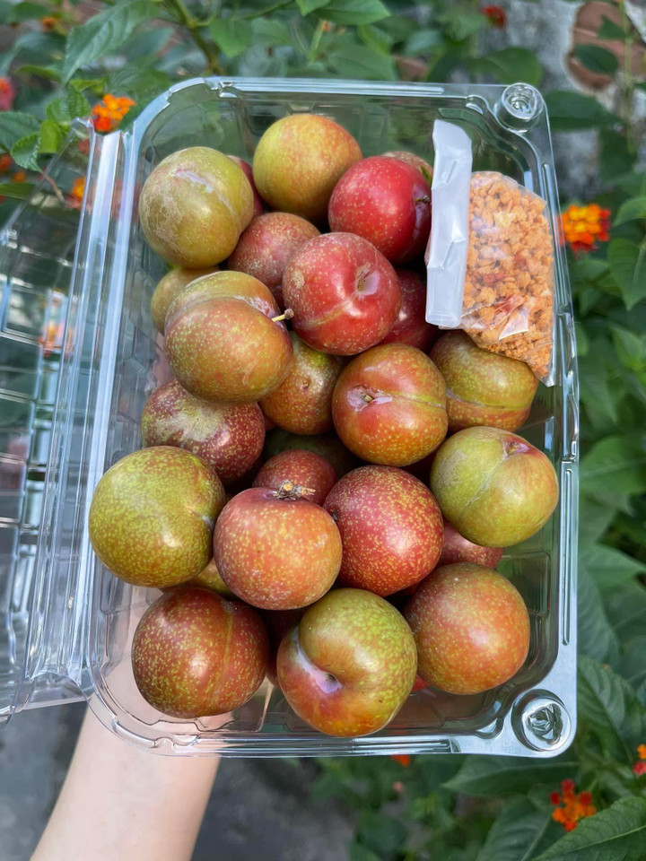 Mận hậu đầu mùa: Vừa chua vừa chát nhưng chị em vẫn mê mệt khi chấm với thứ này - 3