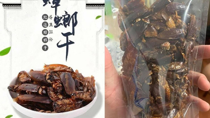 Khó tin nhưng có thật: Gián được nấu thành món ăn, còn là đặc sản ở Trung Quốc - 2
