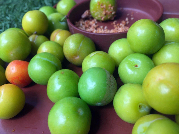 Mận hậu đầu mùa: Vừa chua vừa chát nhưng chị em vẫn mê mệt khi chấm với thứ này - 4