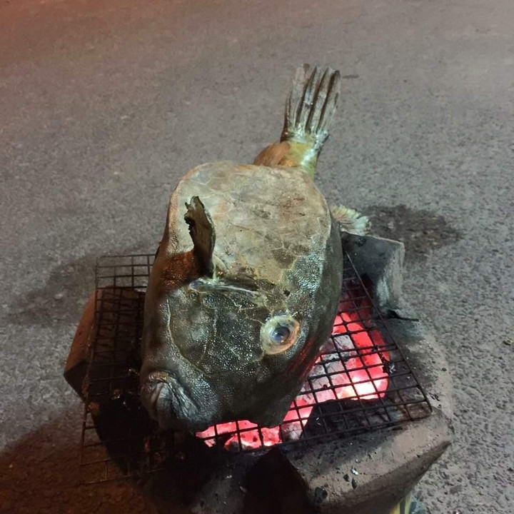 Đặc sản 'gà nước mặn' dai ngọt, thơm ngon nổi tiếng của Duyên hải Nam Trung Bộ - 4