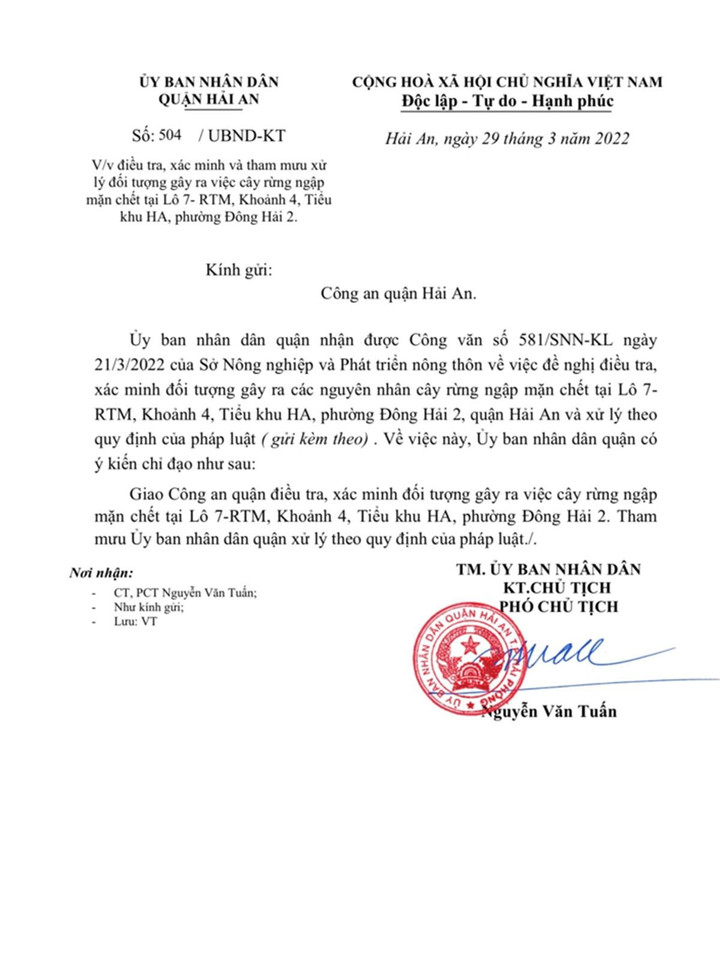 Cánh rừng ngập mặn ở Hải Phòng chết khô: Công an vào cuộc điều tra - 1
