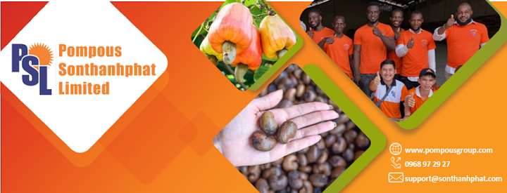 Ngành xuất nhập khẩu điều và những lưu ý quan trọng cho doanh nghiệp - 3