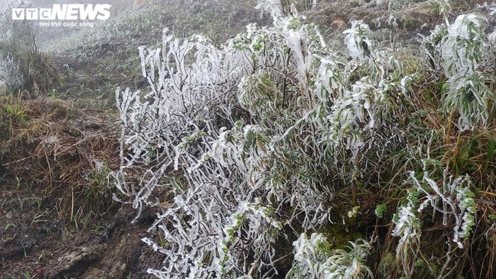 Nhiệt độ xuống dưới 0 độ C, đỉnh Fansipan xuất hiện băng giá dày đặc - 1