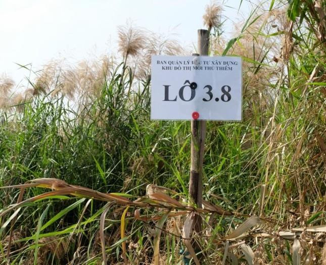 Đến hạn chót, 2 doanh nghiệp trúng đấu giá đất Thủ Thiêm vẫn chưa nộp tiền - 2