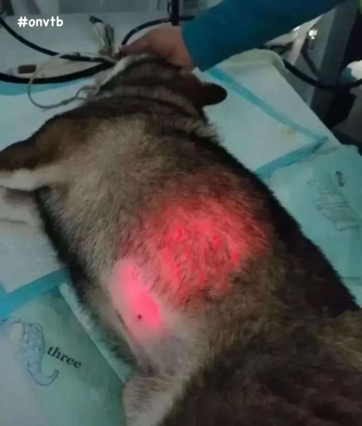 Hậu quả than trời khi dân tình ra đường nhưng lỡ 'để quên não' ở nhà - 8