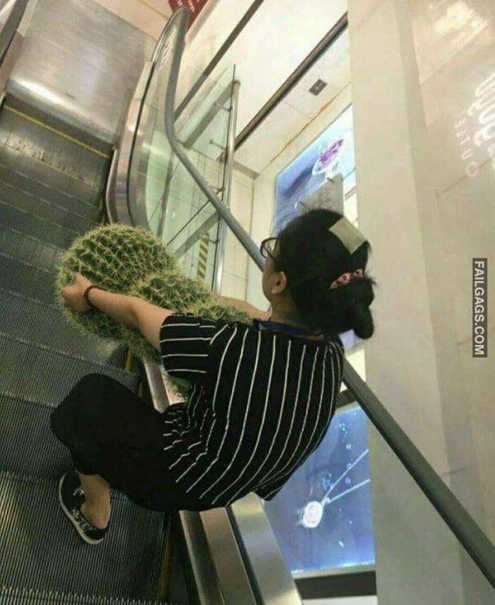 Hậu quả than trời khi dân tình ra đường nhưng lỡ 'để quên não' ở nhà - 6