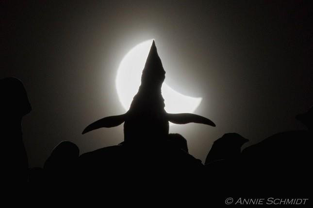 Những hiện tượng thiên văn kỳ thú xuất hiện trên bầu trời tháng 4 - 2