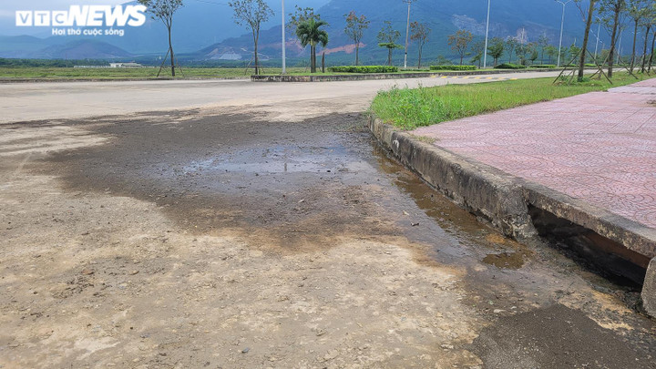 Hà Tĩnh: Dự án gần 92 triệu USD hơn 10 năm vẫn đìu hiu, thành nơi thả trâu bò - 4