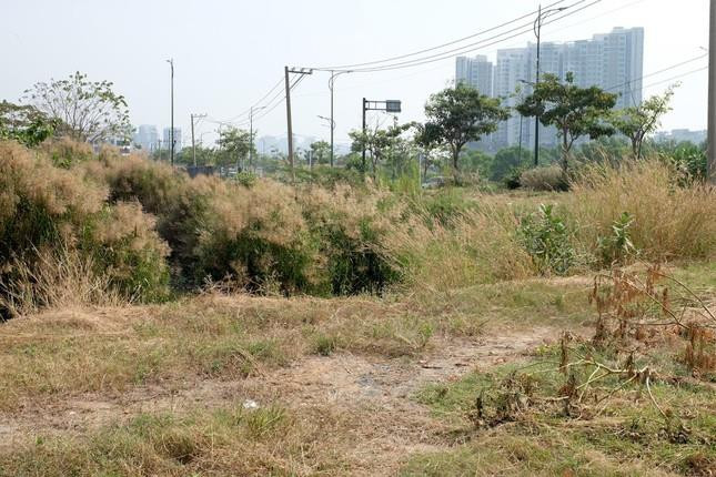 Hai doanh nghiệp xin trả góp tiền trúng đấu giá đất Thủ Thiêm - 2