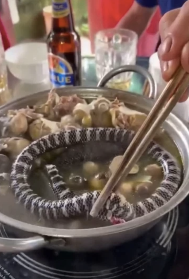 Cách nấu lẩu rắn này được nhiều người cho là tàn nhẫn và mất vệ sinh.