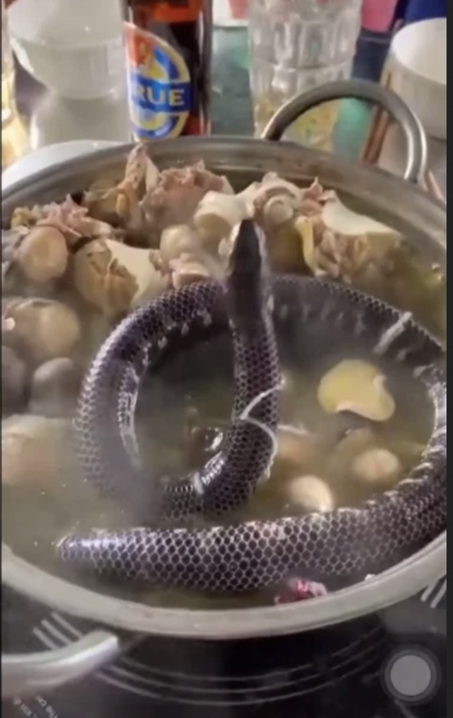 Nồi lẩu khiến nhiều người xanh mặt.