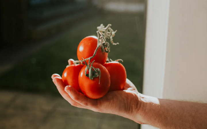 Top 13 thực phẩm chống viêm nhiễm tốt nhất mà bạn nên ăn - 4