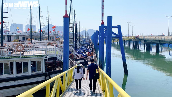 Du khách đi nghỉ lễ Giỗ Tổ Hùng Vương, cảng tàu du lịch Hạ Long hết 'ngủ đông' - 9