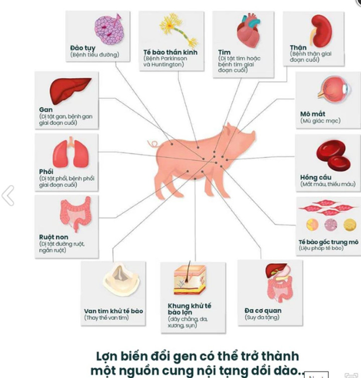 5 liệu pháp y học đang dần bước ra từ phim viễn tưởng - 4