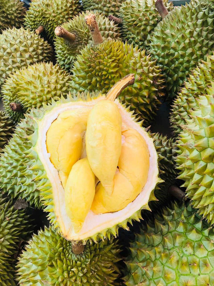 Sầu riêng vào mùa, bỏ túi 7 món ngon từ loại quả thơm nức mũi này ngay và luôn - 2