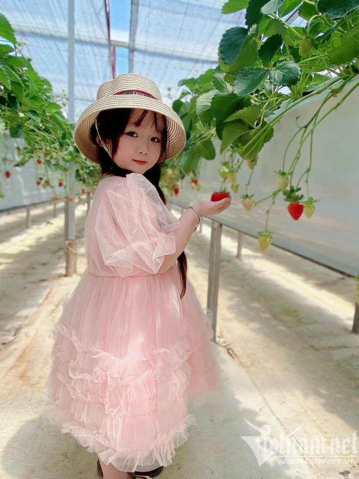 Bé gái xinh như búp bê check-in Đà Lạt gây bão mạng - 10