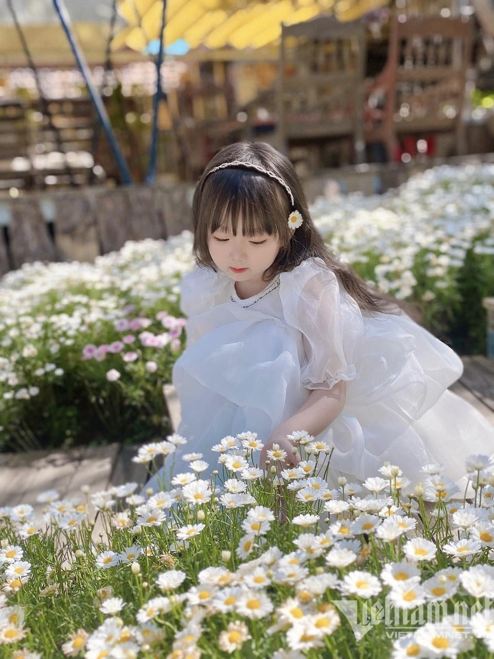 Bé gái xinh như búp bê check-in Đà Lạt gây bão mạng - 9
