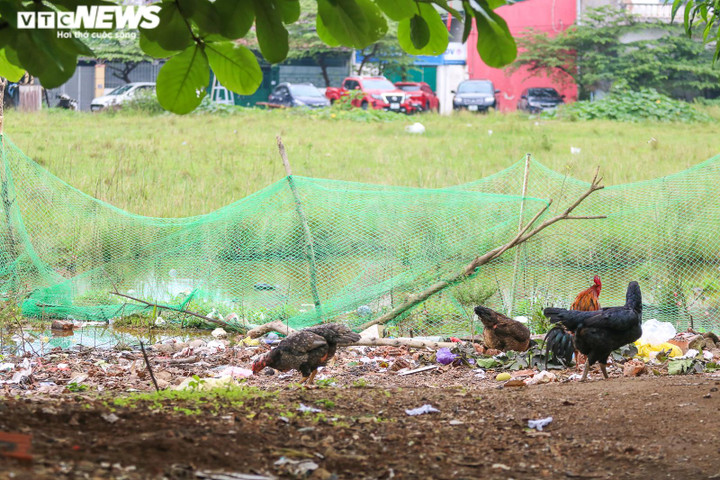 Ảnh: Nhiều dự án ‘ngâm’ đất vàng ở Hà Tĩnh, bỏ hoang lâu năm không thu hồi - 4