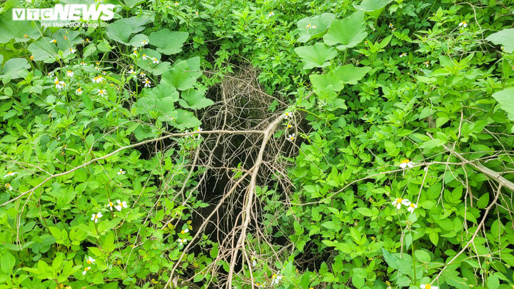 Ảnh: Nhiều dự án ‘ngâm’ đất vàng ở Hà Tĩnh, bỏ hoang lâu năm không thu hồi - 7