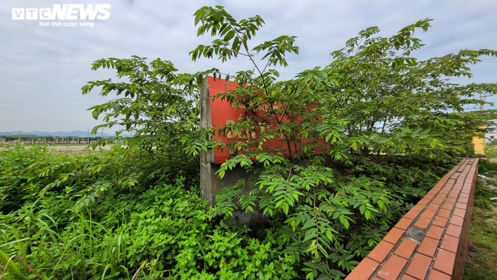 Ảnh: Nhiều dự án ‘ngâm’ đất vàng ở Hà Tĩnh, bỏ hoang lâu năm không thu hồi - 9