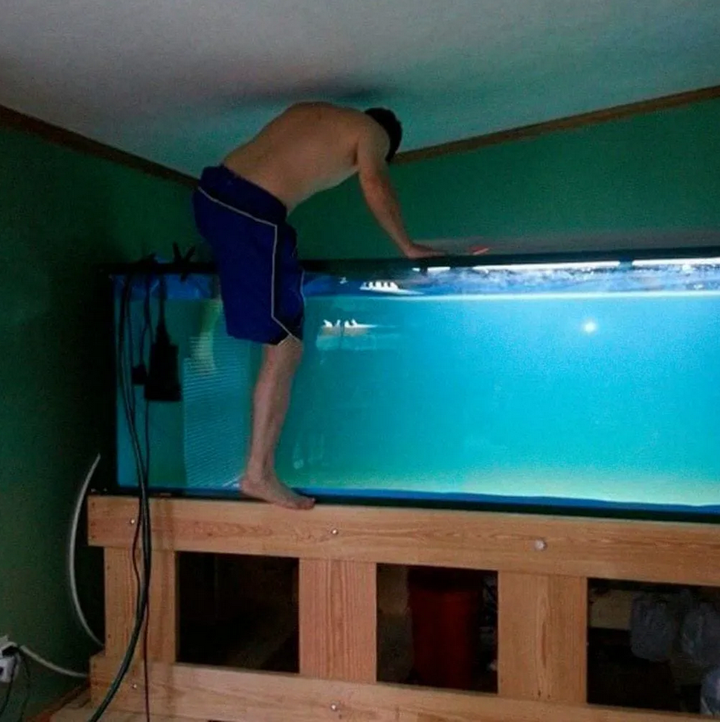 Cạn lời với những trò 'điên rồ' mà dân tình bày ra khi ở nhà lúc buồn chán - 4