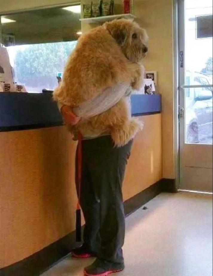 Khoảnh khắc đời thường bỗng hóa tấu hài, đang mệt cũng phải bật dậy nhìn cho rõ - 2