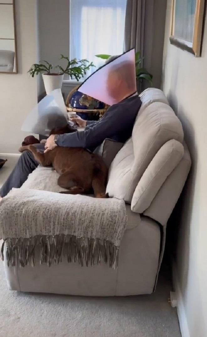 Khoảnh khắc đời thường bỗng hóa tấu hài, đang mệt cũng phải bật dậy nhìn cho rõ - 1