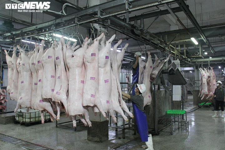 Giá lợn hơi tiến sát mốc 60.000 đồng/kg - 1